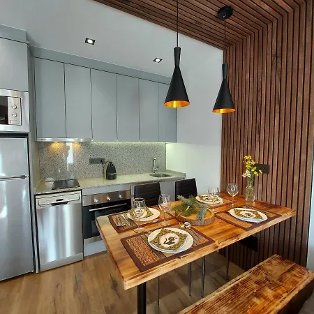 Estudio Rustico En Tarter A Pie De Pistas - Num Hut 08212 Apartment